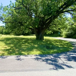 Flipcard Icon Frame 3